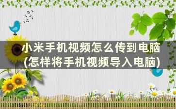 小米手机视频怎么传到电脑(怎样将手机视频导入电脑)