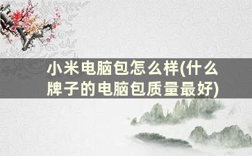 小米电脑包怎么样(什么牌子的电脑包质量最好)