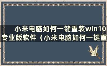 小米电脑如何一键重装win10专业版软件（小米电脑如何一键重装win10专业版驱动）