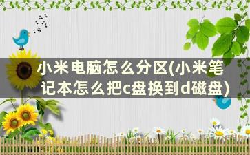 小米电脑怎么分区(小米笔记本怎么把c盘换到d磁盘)