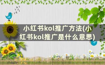 小红书kol推广方法(小红书kol推广是什么意思)