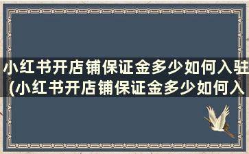 小红书开店铺保证金多少如何入驻(小红书开店铺保证金多少如何入驻抖音)