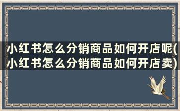 小红书怎么分销商品如何开店呢(小红书怎么分销商品如何开店卖)