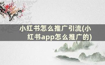 小红书怎么推广引流(小红书app怎么推广的)