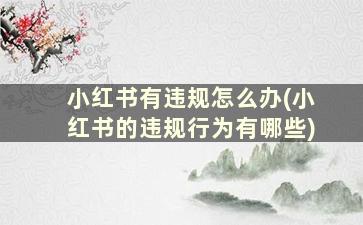 小红书有违规怎么办(小红书的违规行为有哪些)