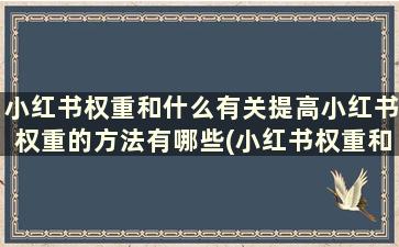 小红书权重和什么有关提高小红书权重的方法有哪些(小红书权重和什么有关提高小红书权重的方法是什么)