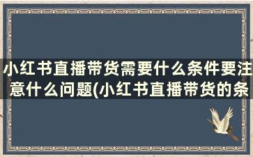 小红书直播带货需要什么条件要注意什么问题(小红书直播带货的条件)