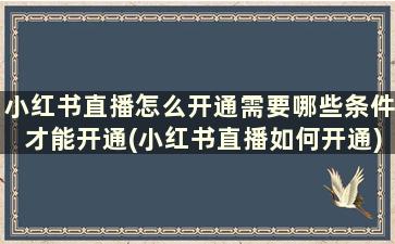 小红书直播怎么开通需要哪些条件才能开通(小红书直播如何开通)