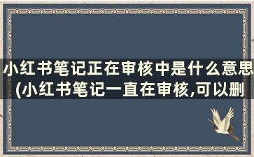 小红书笔记正在审核中是什么意思(小红书笔记一直在审核,可以删除重发吗)