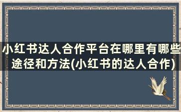 小红书达人合作平台在哪里有哪些途径和方法(小红书的达人合作)