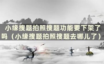 小缘搜题拍照搜题功能要下架了吗（小缘搜题拍照搜题去哪儿了）