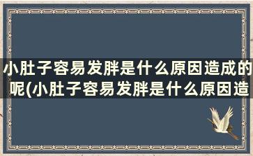 小肚子容易发胖是什么原因造成的呢(小肚子容易发胖是什么原因造成的怎么办)