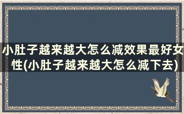 小肚子越来越大怎么减效果最好女性(小肚子越来越大怎么减下去)