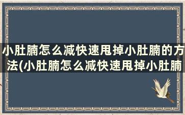 小肚腩怎么减快速甩掉小肚腩的方法(小肚腩怎么减快速甩掉小肚腩的方法图解)