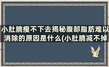 小肚腩瘦不下去揭秘腹部脂肪难以消除的原因是什么(小肚腩减不掉)