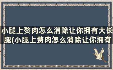 小腿上赘肉怎么消除让你拥有大长腿(小腿上赘肉怎么消除让你拥有大长腿的感觉)