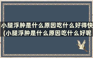 小腿浮肿是什么原因吃什么好得快(小腿浮肿是什么原因吃什么好呢)