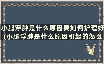 小腿浮肿是什么原因要如何护理好(小腿浮肿是什么原因引起的怎么治疗)