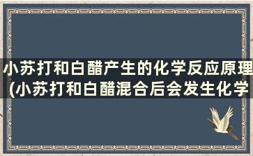 小苏打和白醋产生的化学反应原理(小苏打和白醋混合后会发生化学变化吗)