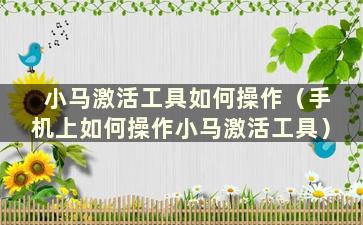 小马激活工具如何操作（手机上如何操作小马激活工具）