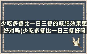 少吃多餐比一日三餐的减肥效果更好对吗(少吃多餐比一日三餐好吗)