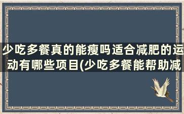 少吃多餐真的能瘦吗适合减肥的运动有哪些项目(少吃多餐能帮助减肥吗)