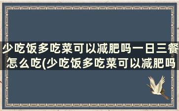 少吃饭多吃菜可以减肥吗一日三餐怎么吃(少吃饭多吃菜可以减肥吗一日三餐怎么吃比较好)