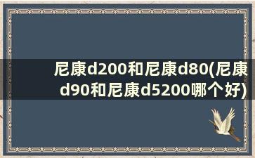 尼康d200和尼康d80(尼康d90和尼康d5200哪个好)