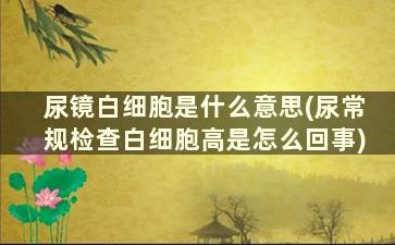 尿镜白细胞是什么意思(尿常规检查白细胞高是怎么回事)