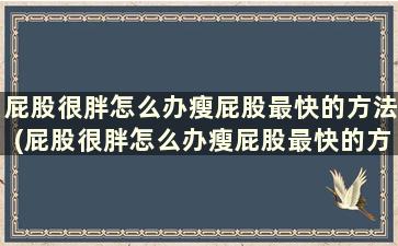 屁股很胖怎么办瘦屁股最快的方法(屁股很胖怎么办瘦屁股最快的方法)