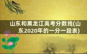 山东和黑龙江高考分数线(山东2020年的一分一段表)