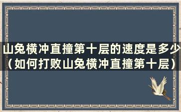 山兔横冲直撞第十层的速度是多少（如何打败山兔横冲直撞第十层）