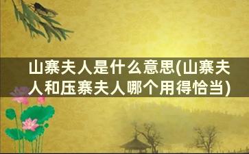 山寨夫人是什么意思(山寨夫人和压寨夫人哪个用得恰当)