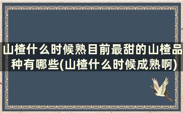 山楂什么时候熟目前最甜的山楂品种有哪些(山楂什么时候成熟啊)