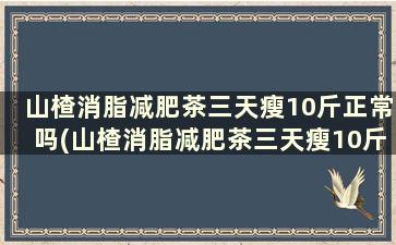 山楂消脂减肥茶三天瘦10斤正常吗(山楂消脂减肥茶三天瘦10斤可以喝吗)