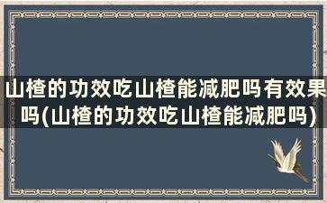 山楂的功效吃山楂能减肥吗有效果吗(山楂的功效吃山楂能减肥吗)