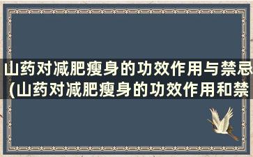 山药对减肥瘦身的功效作用与禁忌(山药对减肥瘦身的功效作用和禁忌)