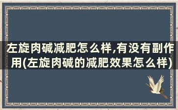 左旋肉碱减肥怎么样,有没有副作用(左旋肉碱的减肥效果怎么样)