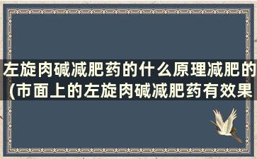 左旋肉碱减肥药的什么原理减肥的(市面上的左旋肉碱减肥药有效果吗)