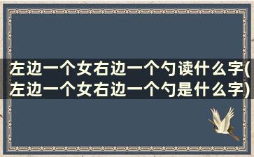 左边一个女右边一个勺读什么字(左边一个女右边一个勺是什么字)