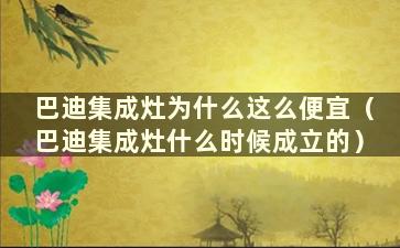 巴迪集成灶为什么这么便宜（巴迪集成灶什么时候成立的）