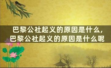 巴黎公社起义的原因是什么,巴黎公社起义的原因是什么呢