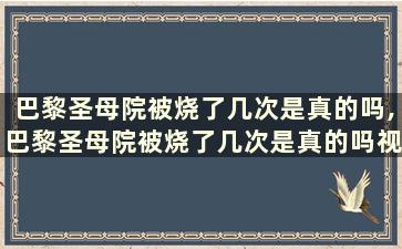 巴黎圣母院被烧了几次是真的吗,巴黎圣母院被烧了几次是真的吗视频