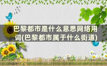 巴黎都市是什么意思网络用词(巴黎都市属于什么街道)