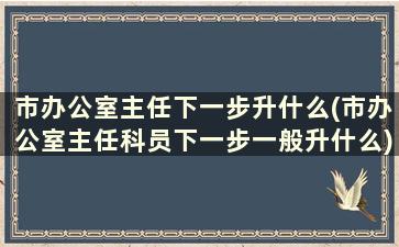 市办公室主任下一步升什么(市办公室主任科员下一步一般升什么)