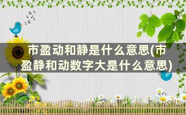 市盈动和静是什么意思(市盈静和动数字大是什么意思)