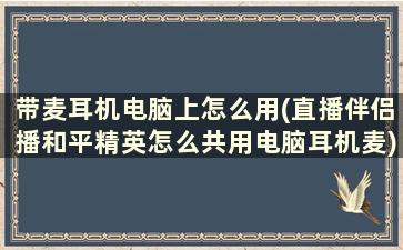 带麦耳机电脑上怎么用(直播伴侣播和平精英怎么共用电脑耳机麦)