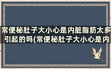 常便秘肚子大小心是内脏脂肪太多引起的吗(常便秘肚子大小心是内脏脂肪太多导致的吗)