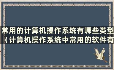 常用的计算机操作系统有哪些类型（计算机操作系统中常用的软件有哪些）