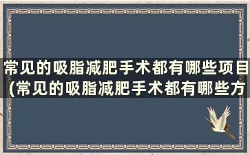 常见的吸脂减肥手术都有哪些项目(常见的吸脂减肥手术都有哪些方法)